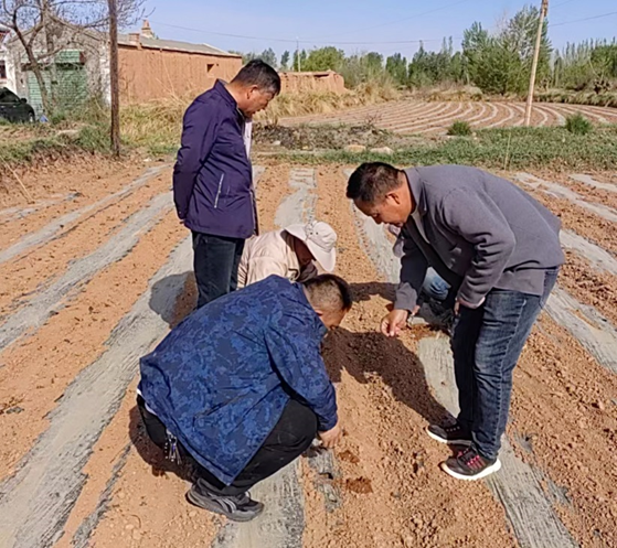 “三抓三促”進(jìn)行時(shí) | 凝心聚力謀發(fā)展 “三抓三促”見實(shí)效 ——敦煌種業(yè)玉米種子分公司開展“三抓三促”行動紀(jì)實(shí)